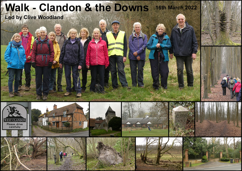 Walk - Clandon & the Downs - 16th March 2022